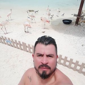 Meet your Posher, Oscar